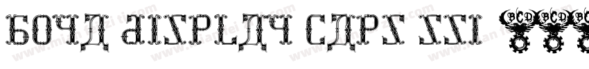 Boya Display Caps SSi字体转换